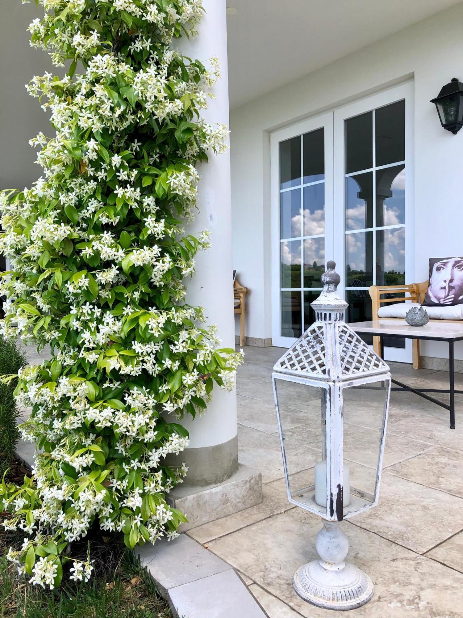 Peterc Vineyard Estate Bed & Breakfast คอจส์โค ภายนอก รูปภาพ