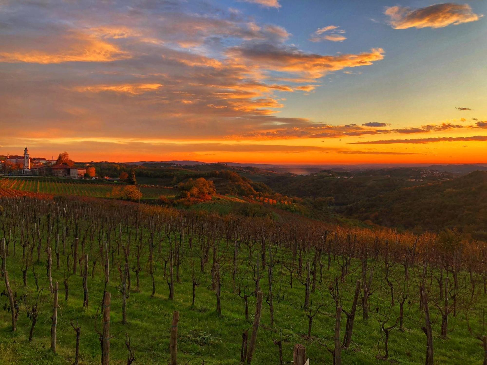 Peterc Vineyard Estate Bed & Breakfast คอจส์โค ภายนอก รูปภาพ