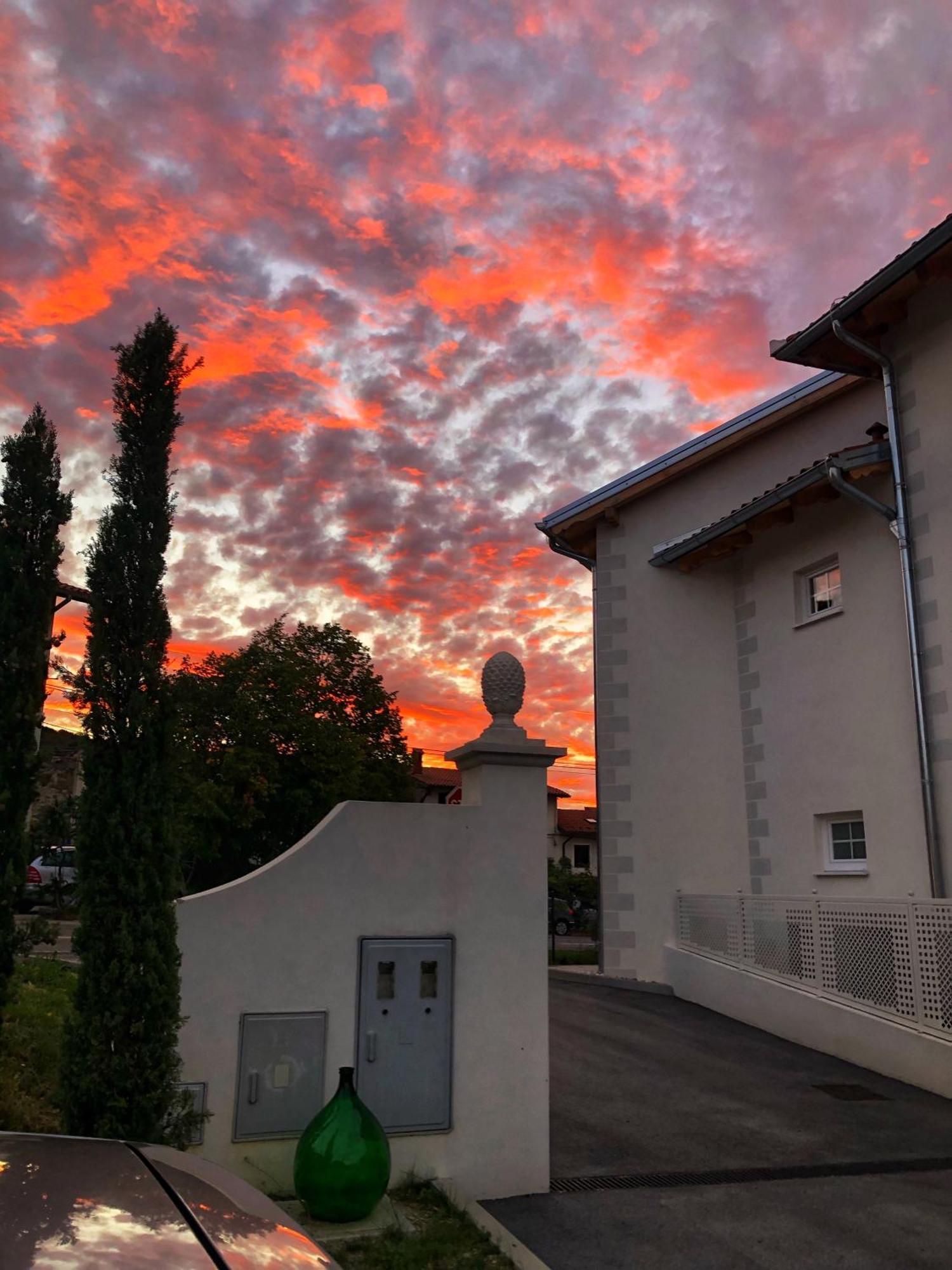 Peterc Vineyard Estate Bed & Breakfast คอจส์โค ภายนอก รูปภาพ