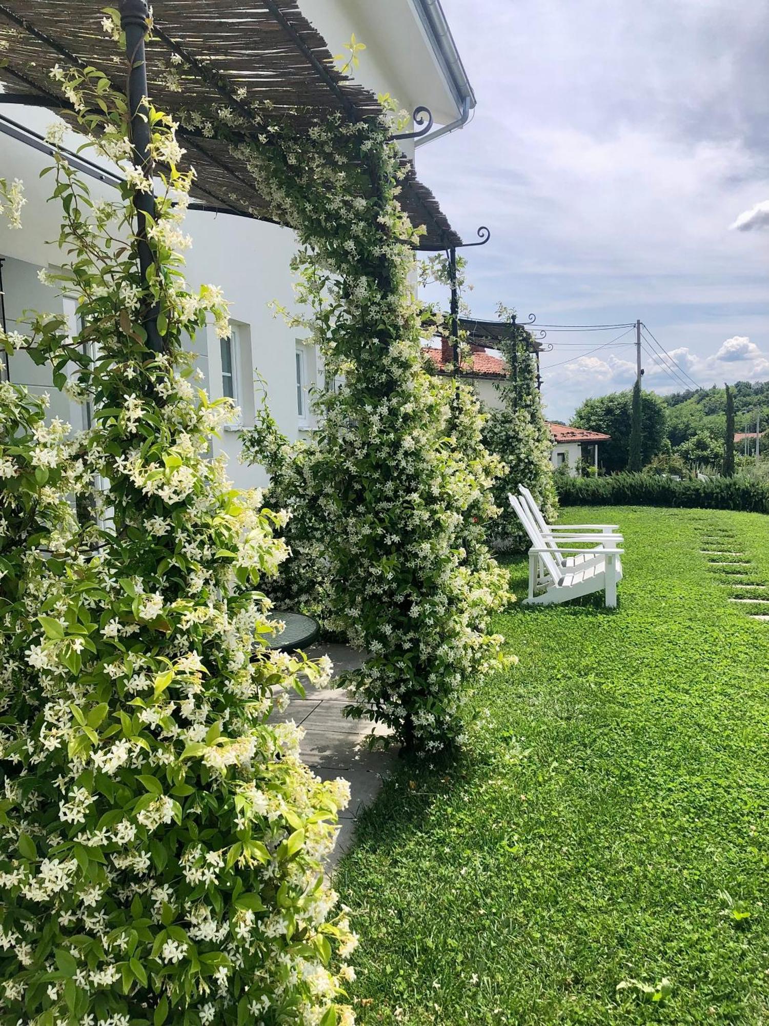 Peterc Vineyard Estate Bed & Breakfast คอจส์โค ภายนอก รูปภาพ